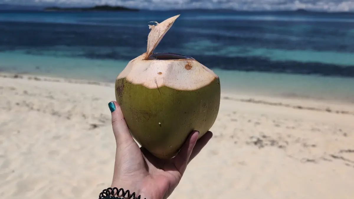A hand holding a fresh coconut on a sunny beach with turquoise sea behind